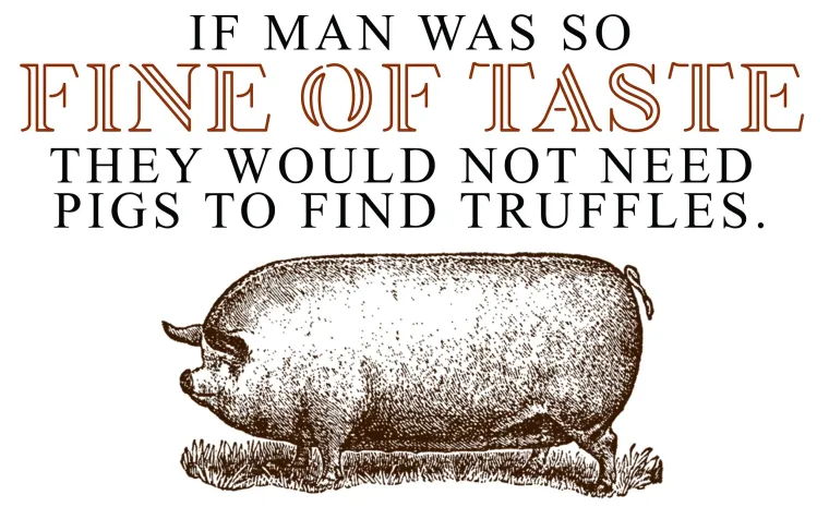 Varken dat truffels opspoort — illustratie bij De Utrechtse Dwarstafel.
